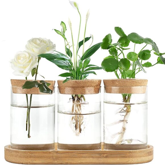 Plant Propagation Terrarium Desktop Glass Planter Station Water Planting Glass V
